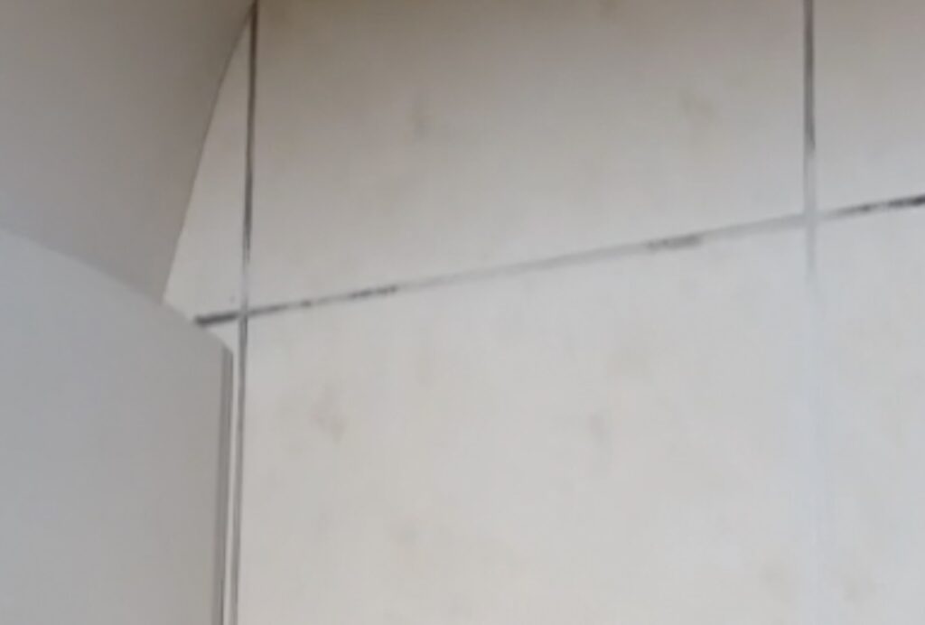 Tegels en vieze voegen schoonmaken in de douchehoek